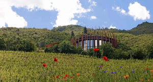 Wines from Chile