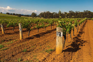 Wines from Australia